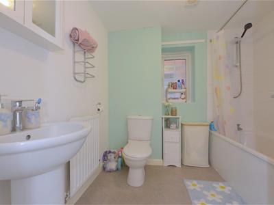 Picture 12